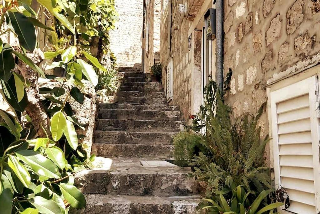 House Marija In Old Town Lejlighed Dubrovnik Eksteriør billede